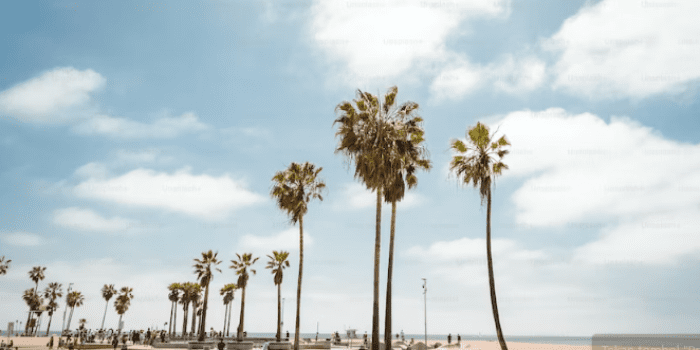 10 Best Hotels In Los Angeles