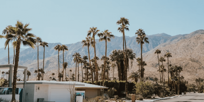 10 Best Hotels in Palm Springs