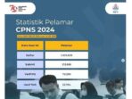 Data Stastistik CPNS 2024