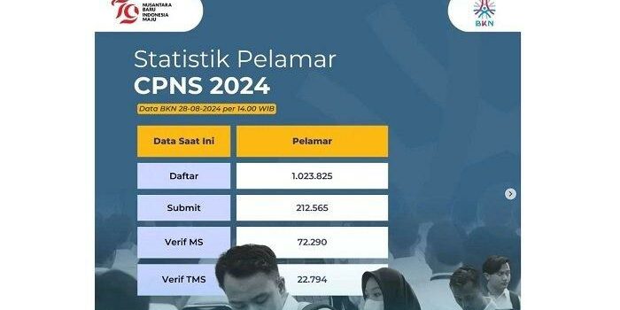 Data Statistik CPNS 2024