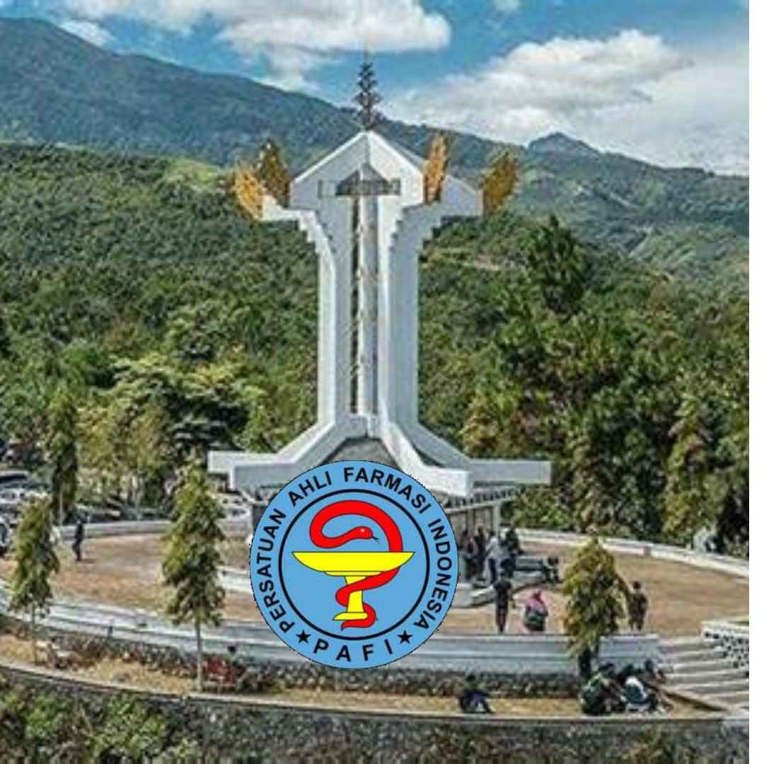 Pafi Aceh Kab Bener Meriah logo