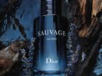 Dior Sauvage